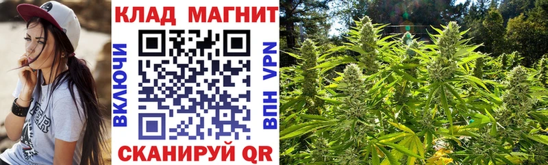 Где купить наркотики Приволжск Псилоцибиновые грибы  СК  ГАШ  КОКАИН  Бошки Шишки 
