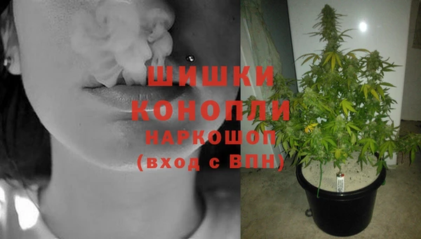 трава Армянск