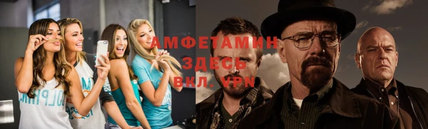 стафф Арсеньев